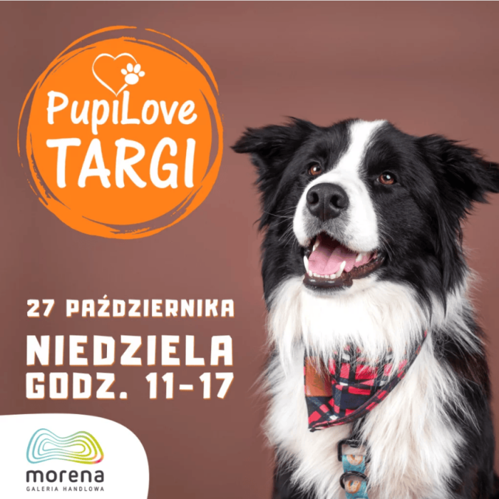 Baner informacyjny PupiLove Targi w Galeria Morena z psem w tle